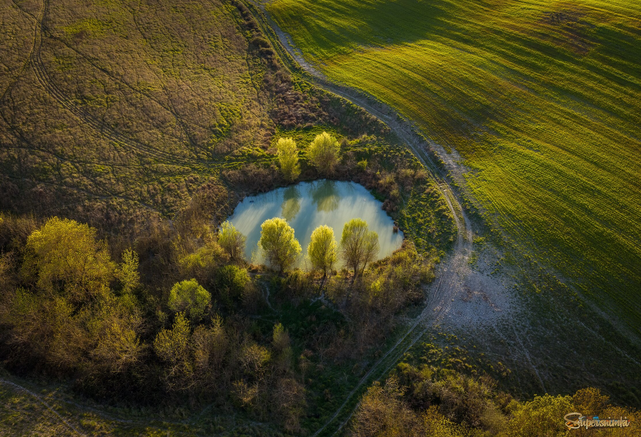 Шепот весны