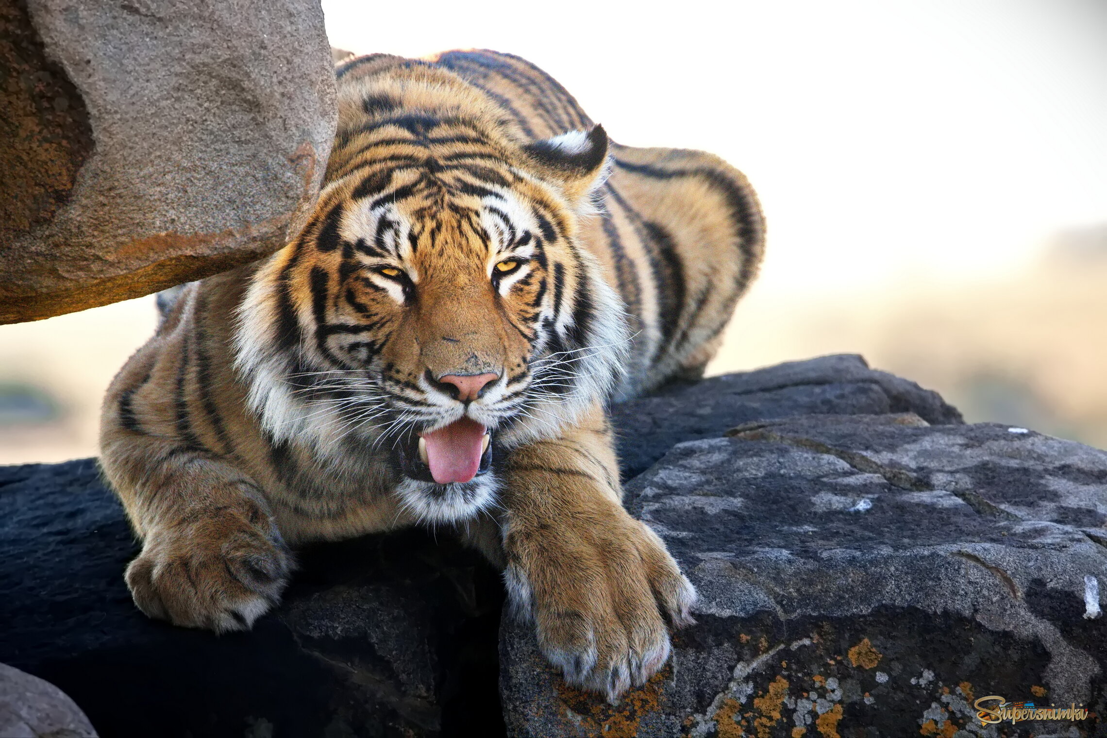 Прищурившись