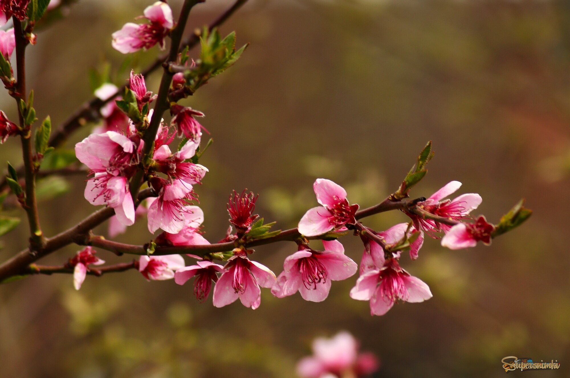 Доброе утро