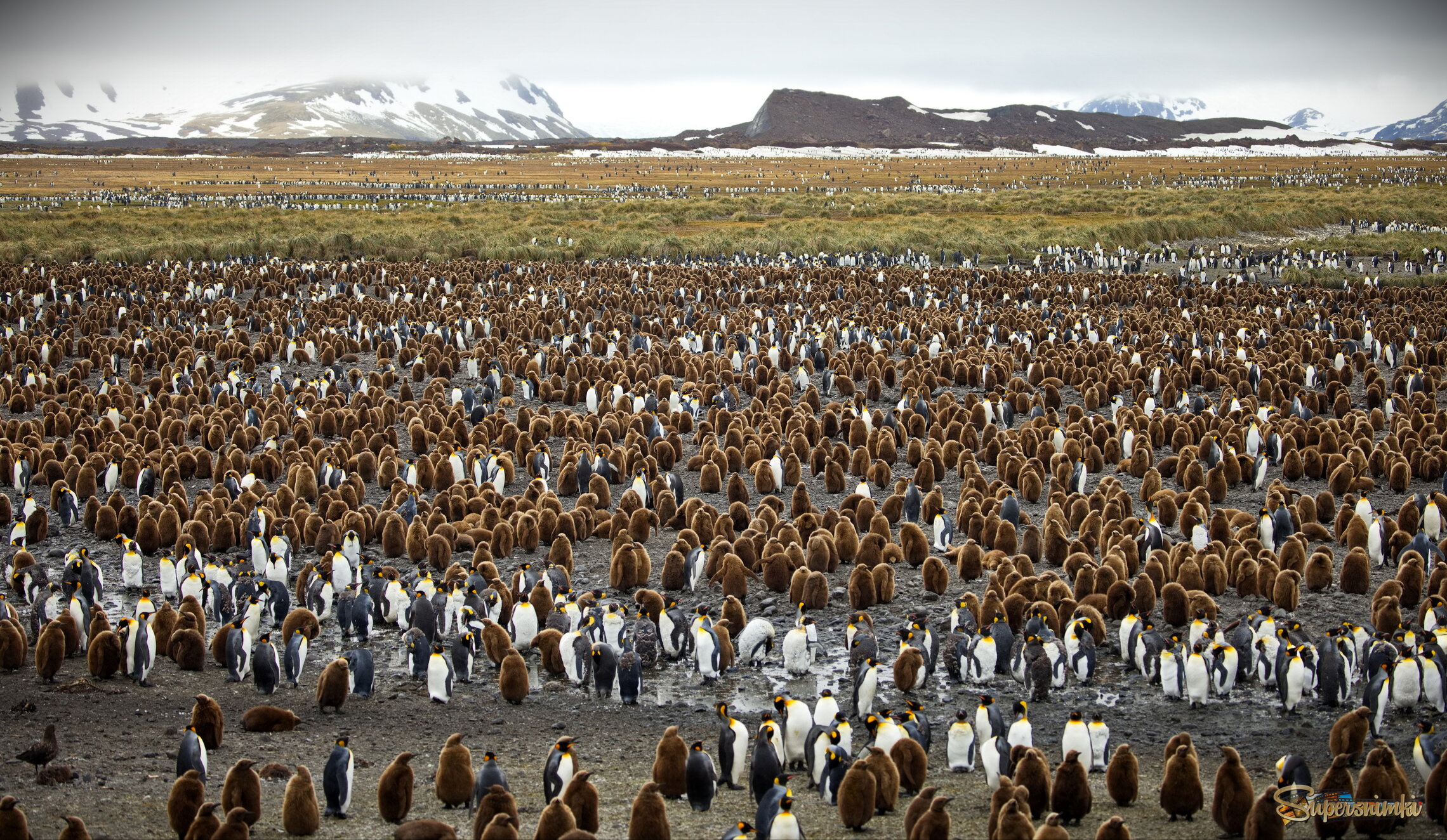Видимо-невидимо