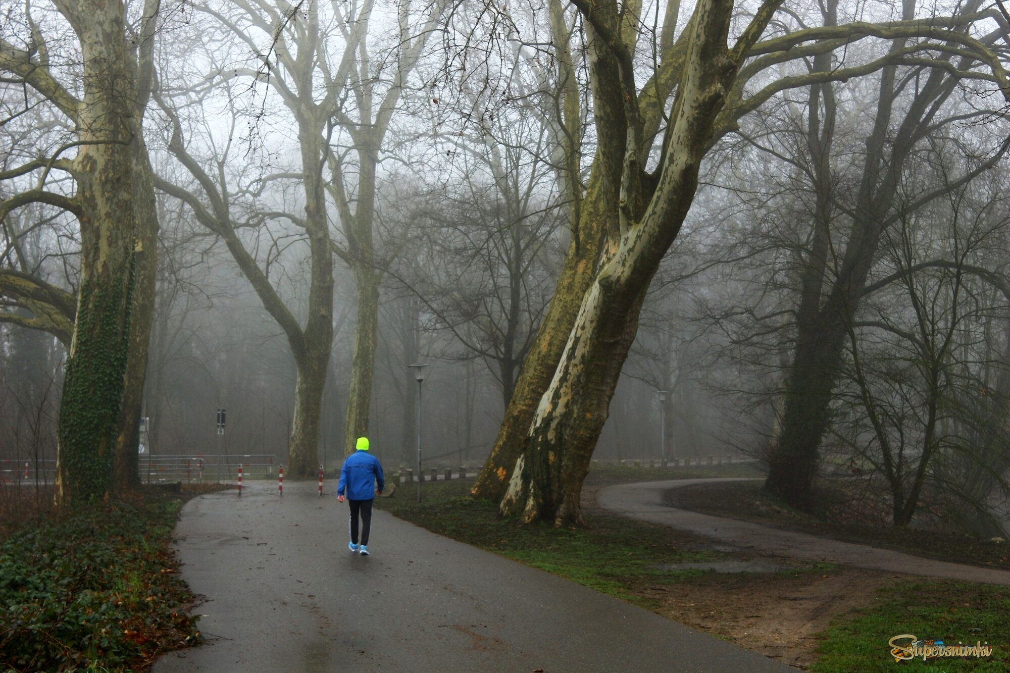 В туманном феврале