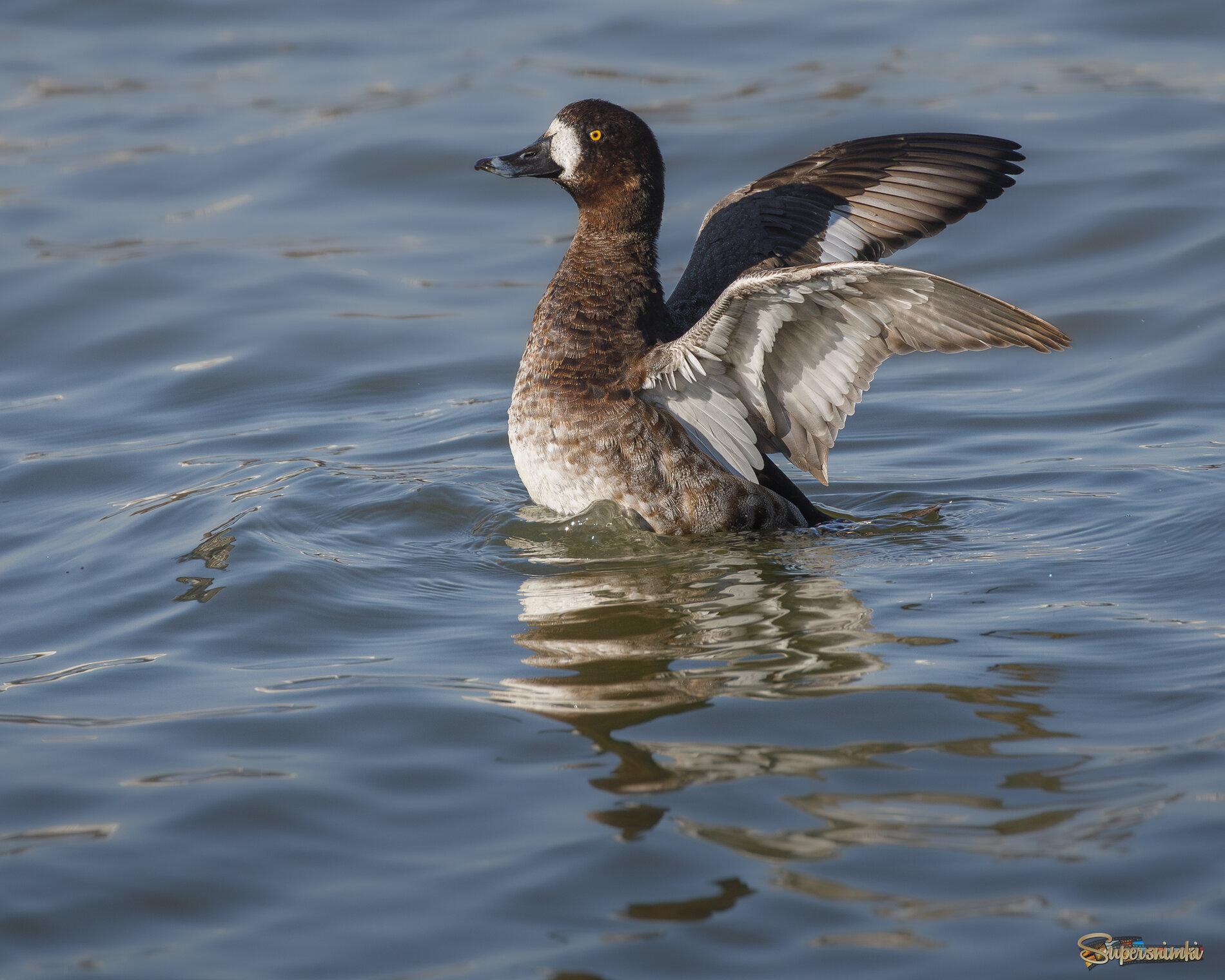 Я самая красивая!