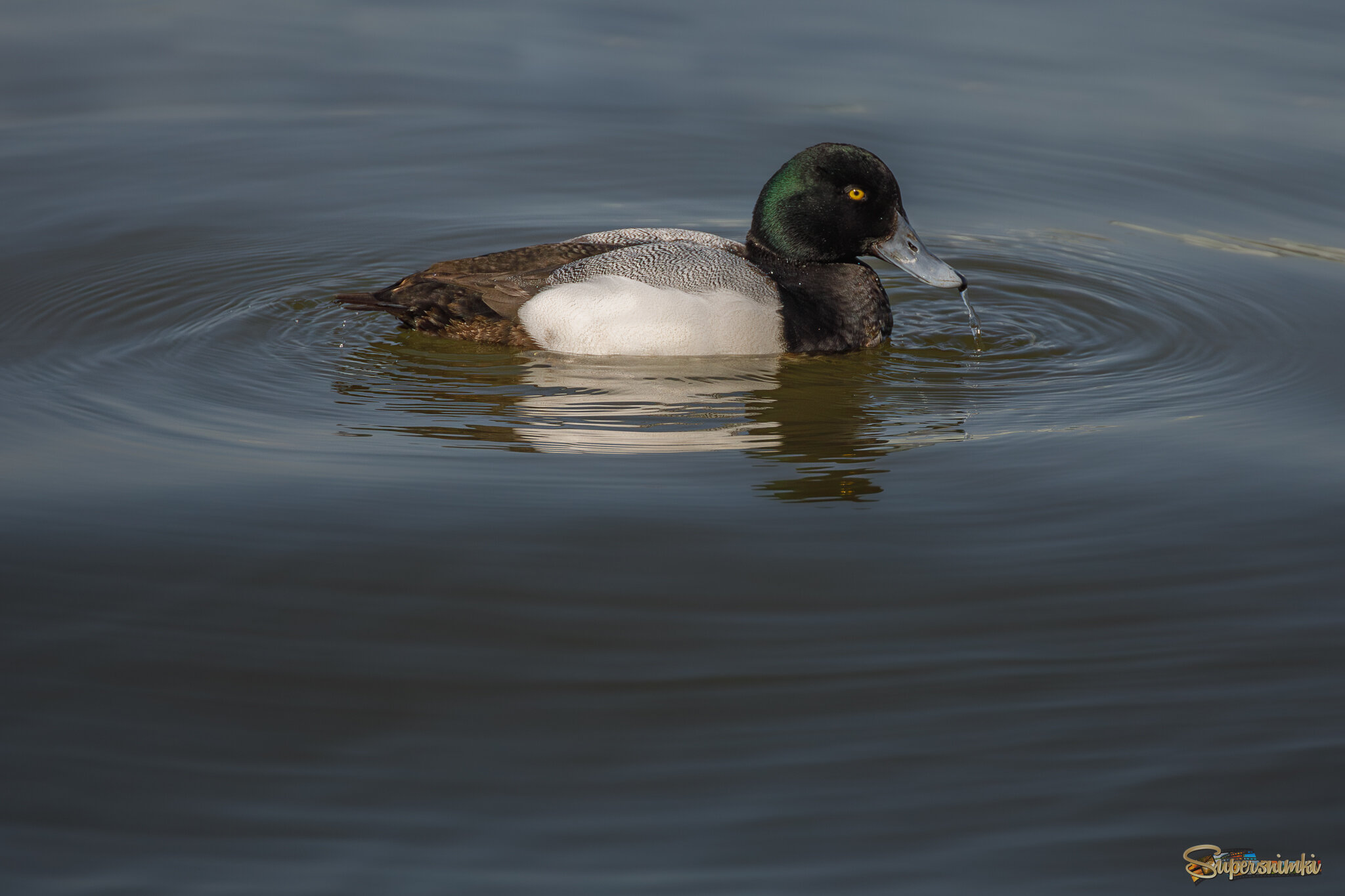 В водовороте