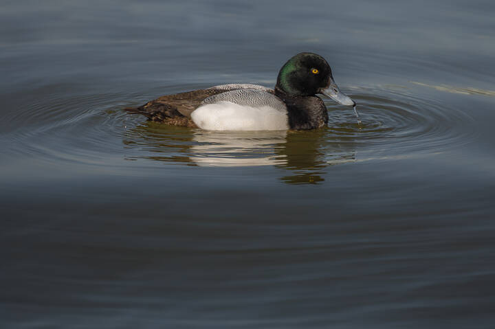 В водовороте