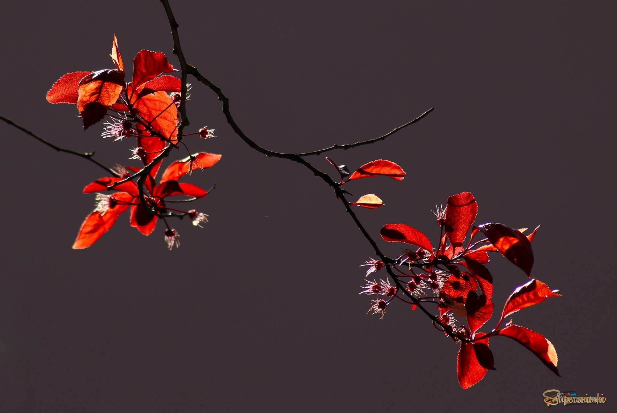 Доброе утро