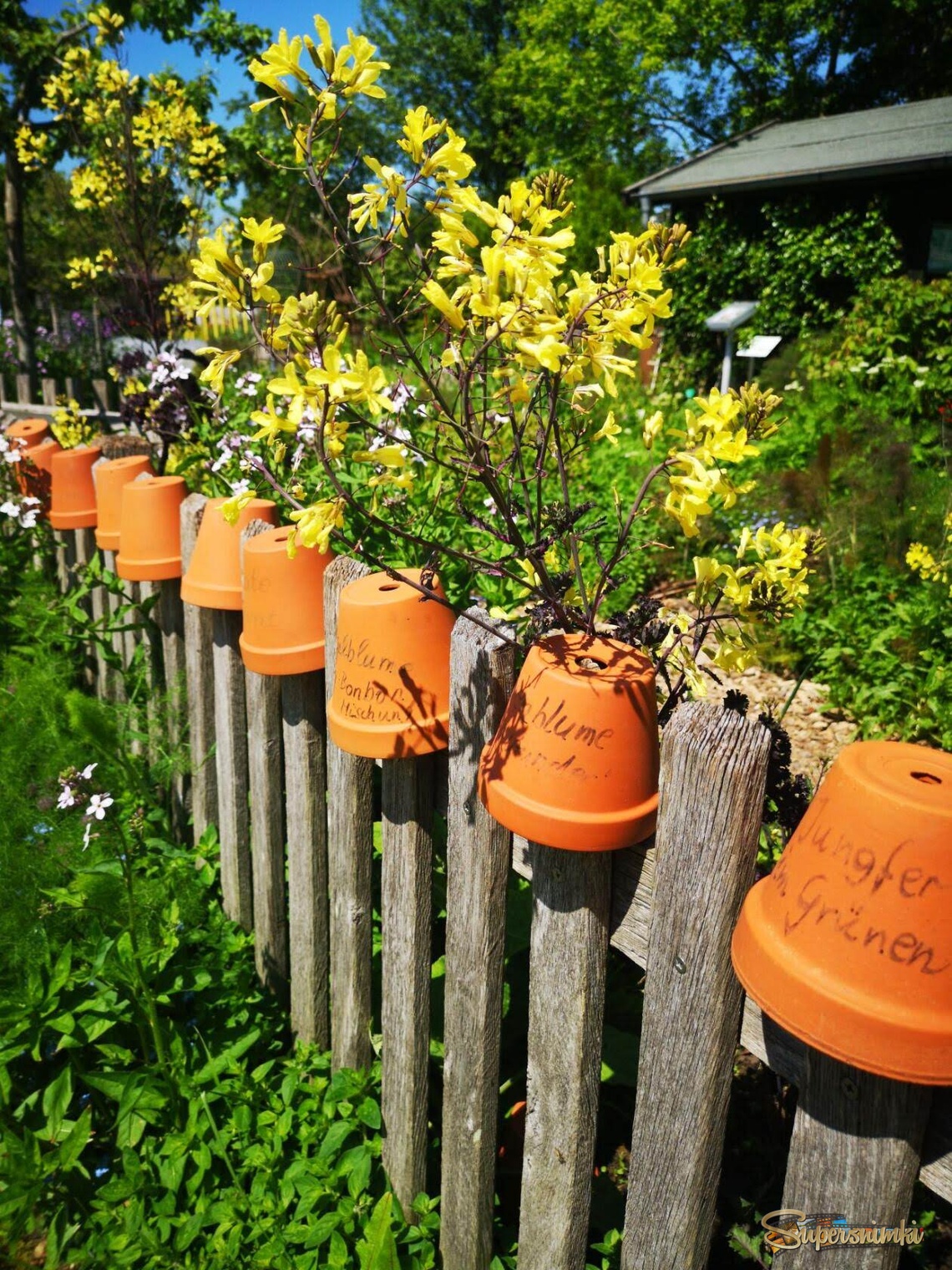 Пора горшки сушить