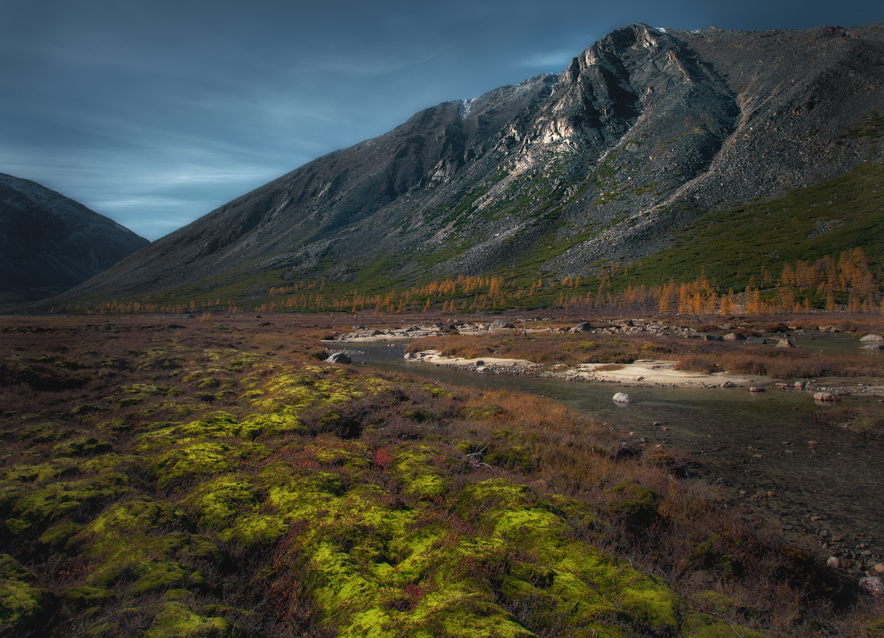 Мшистый берег вдоль речки студёной
