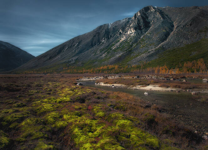 Мшистый берег вдоль речки студёной