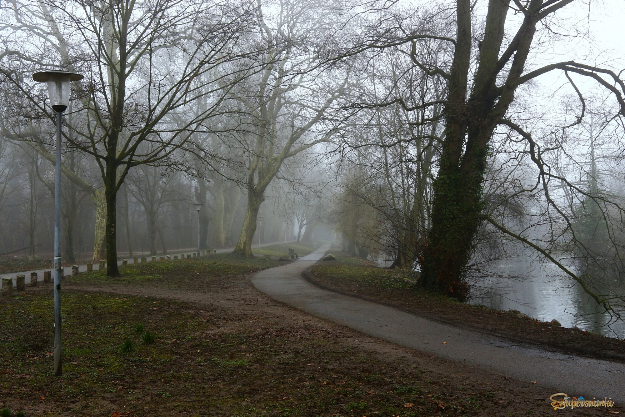 Туманный февраль