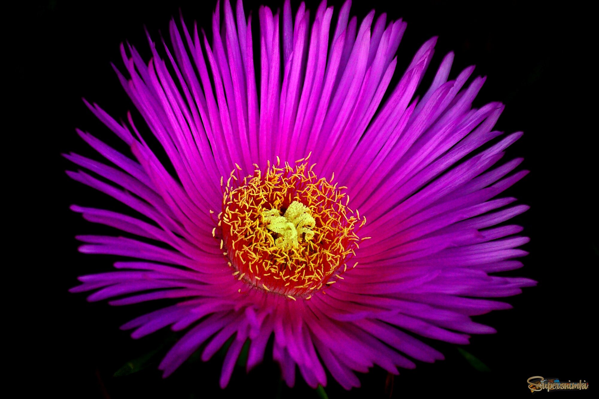 Доброе утро