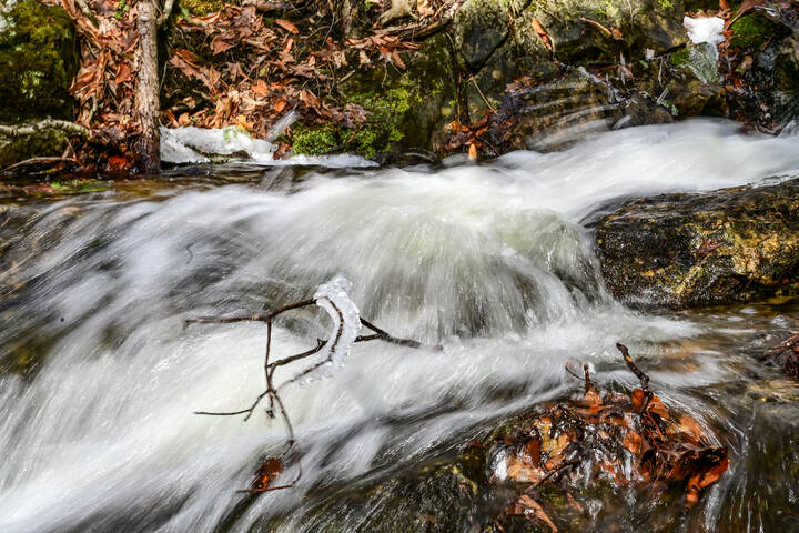 Торопятся ручьи в холмах