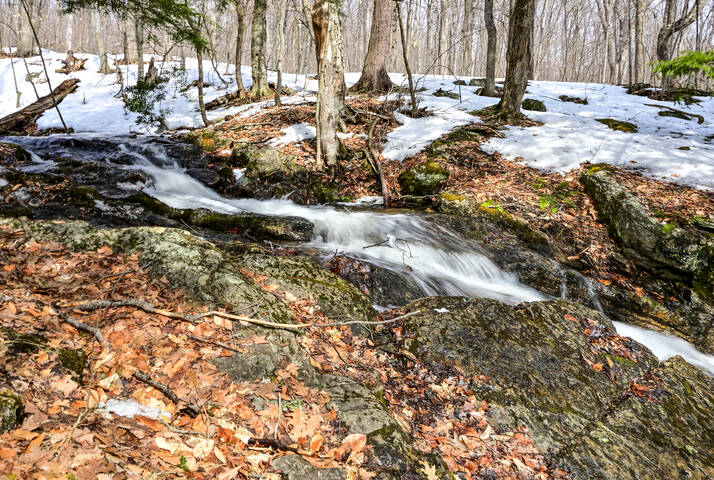 Торопятся ручьи в холмах