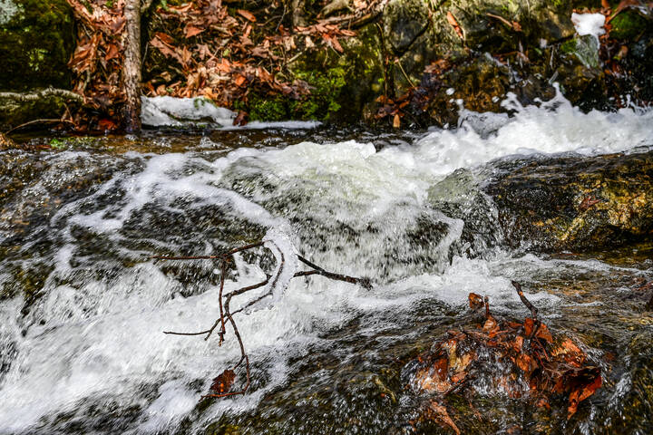 Торопятся ручьи в холмах