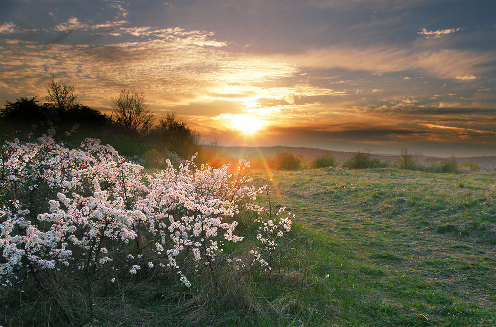 Весенний рассвет.