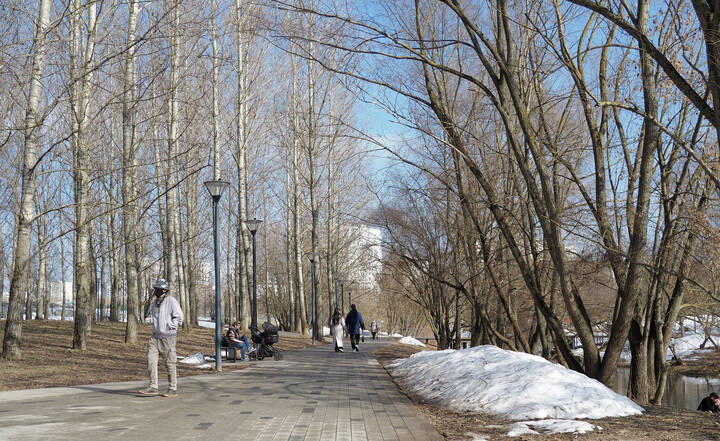 Прогулки в Весеннем Парке