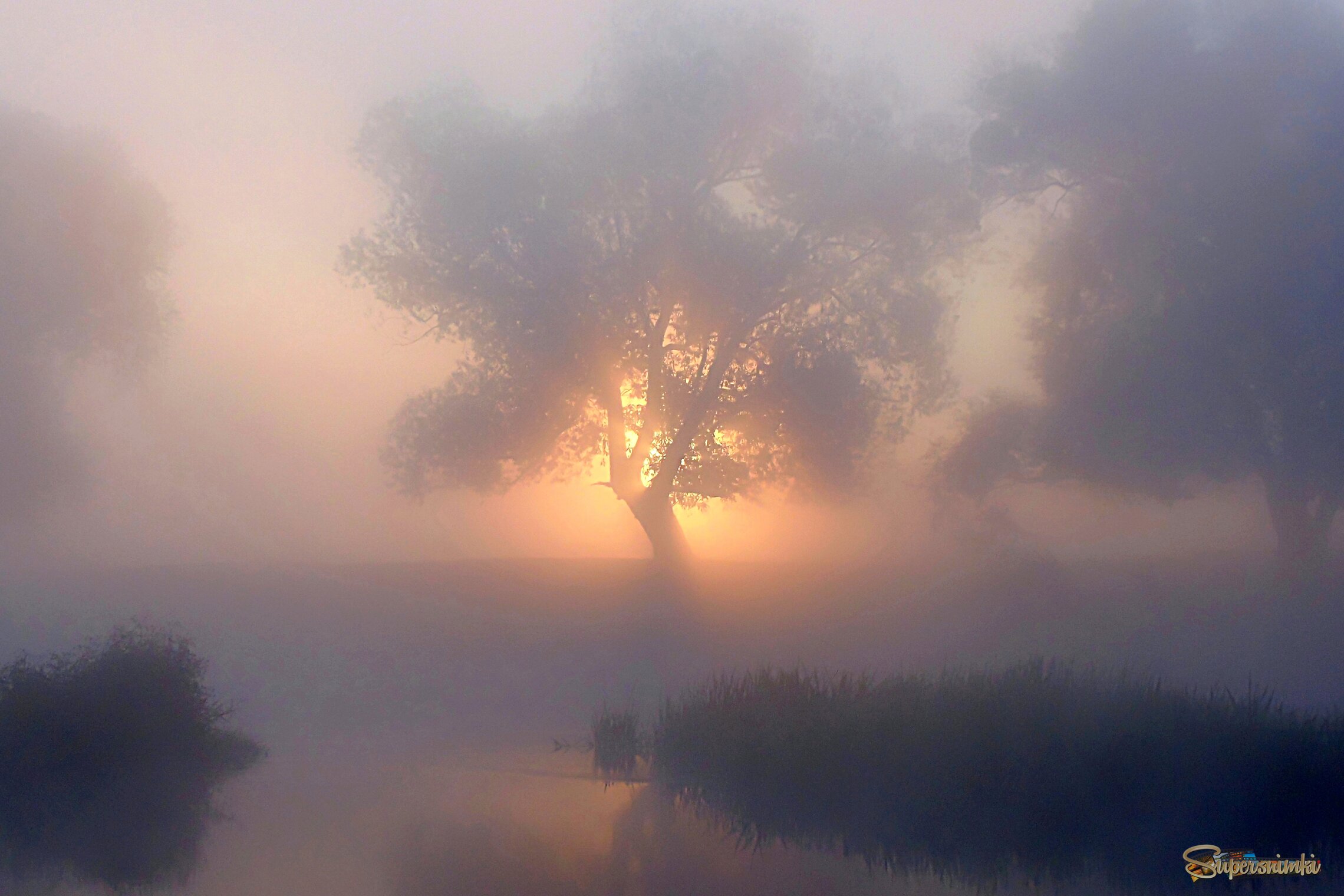 Осеннее утро