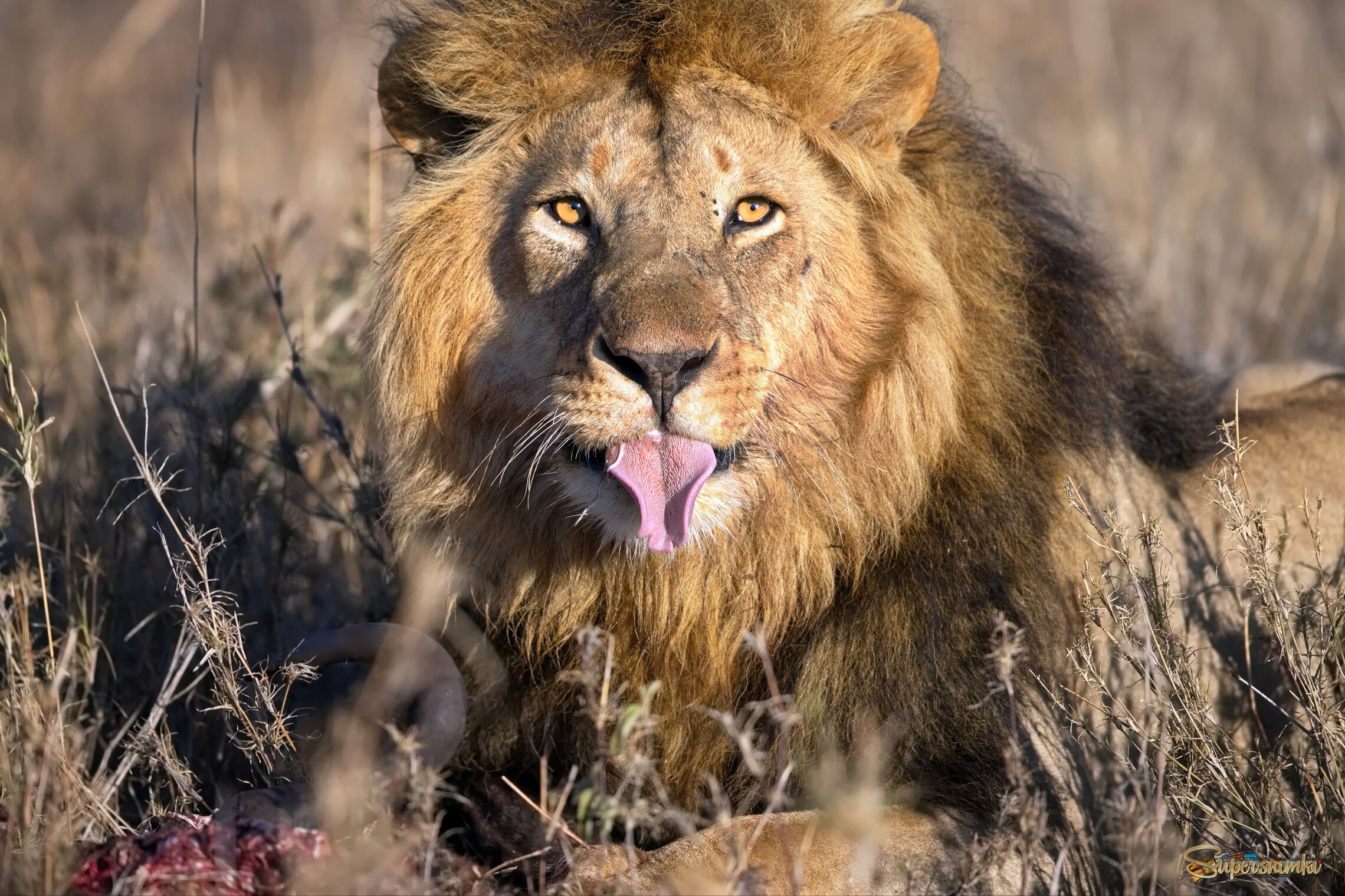 Вот вам всем!