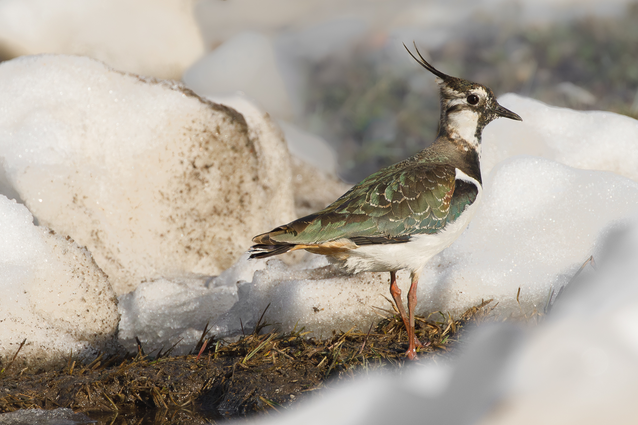 Грязно здесь как!