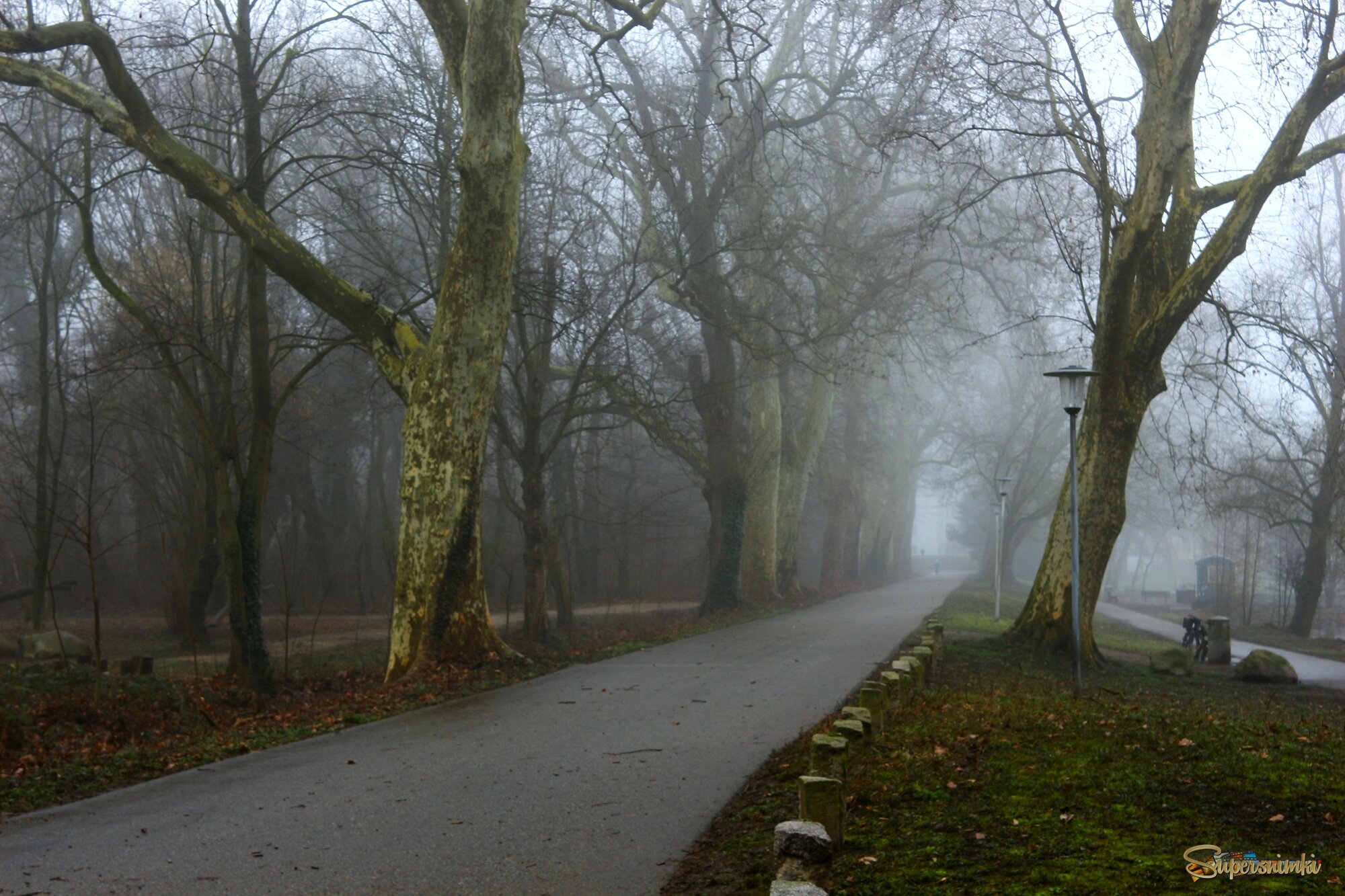 Февраль,аллея