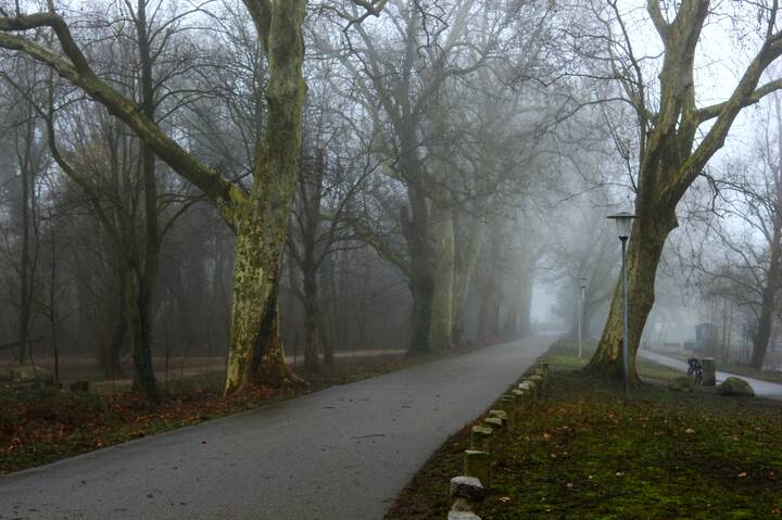 Февраль,аллея