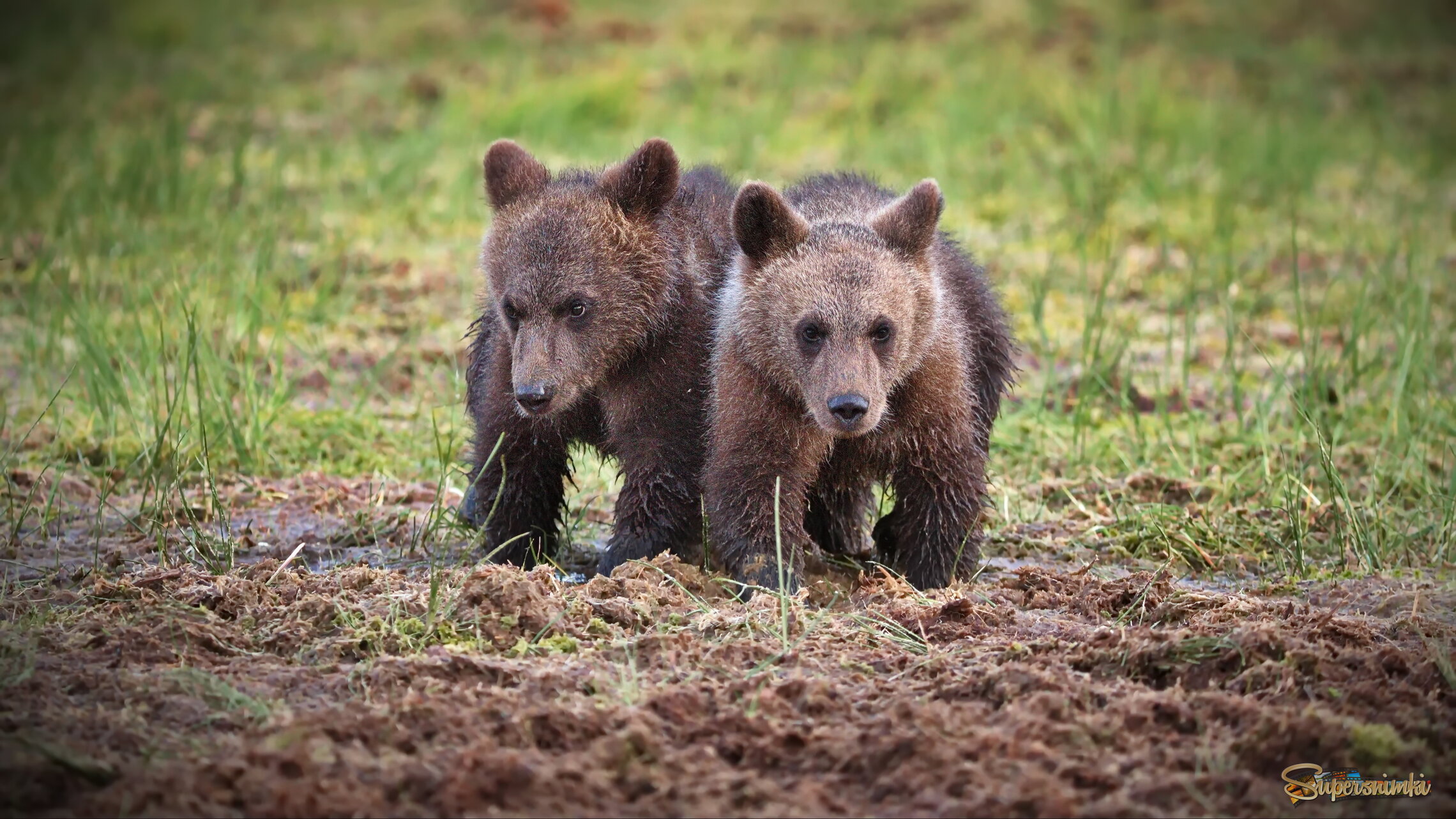 Малышам везде у нас дорога...