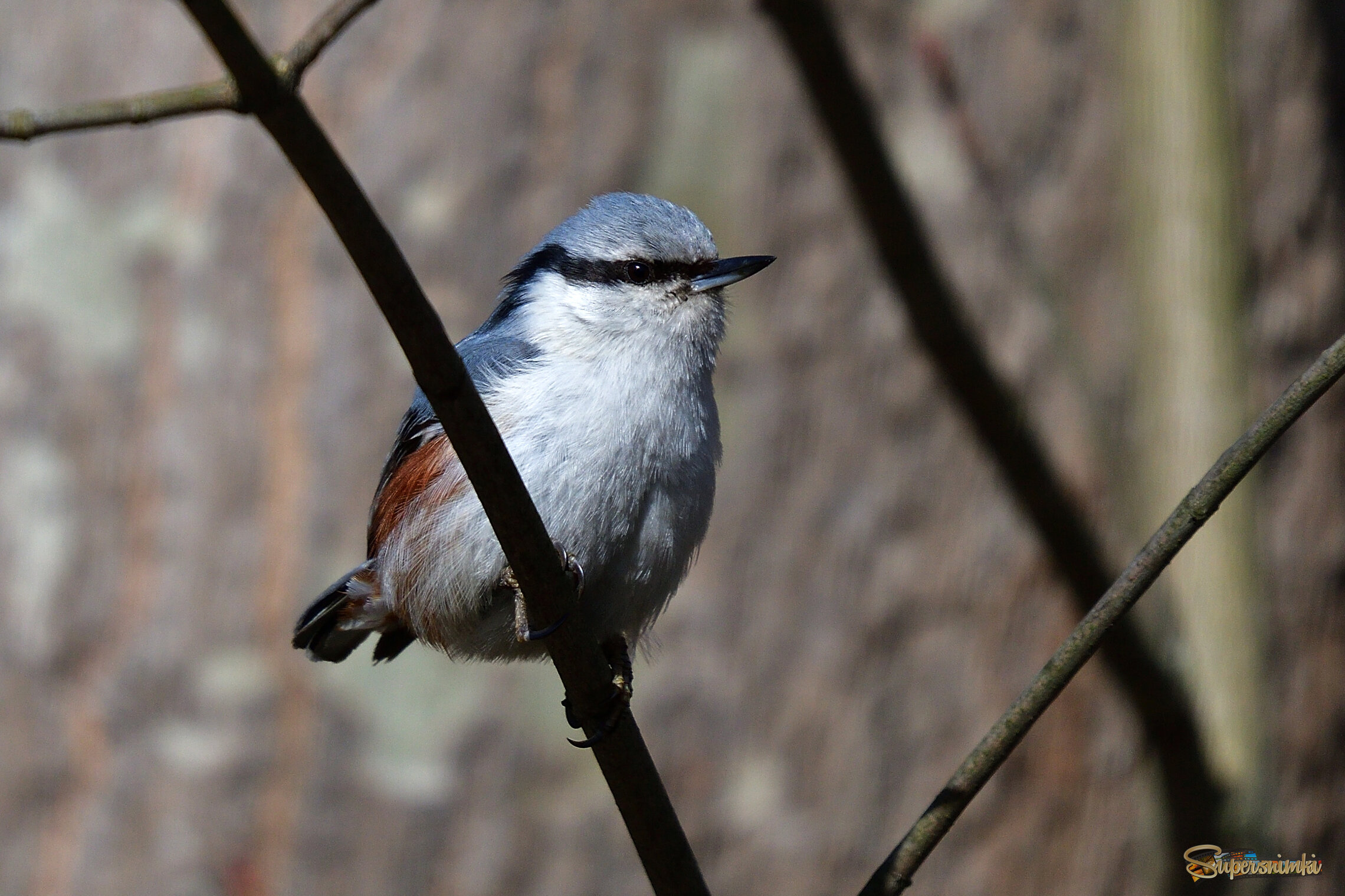 69d38f4099299c7c8d9f5a04