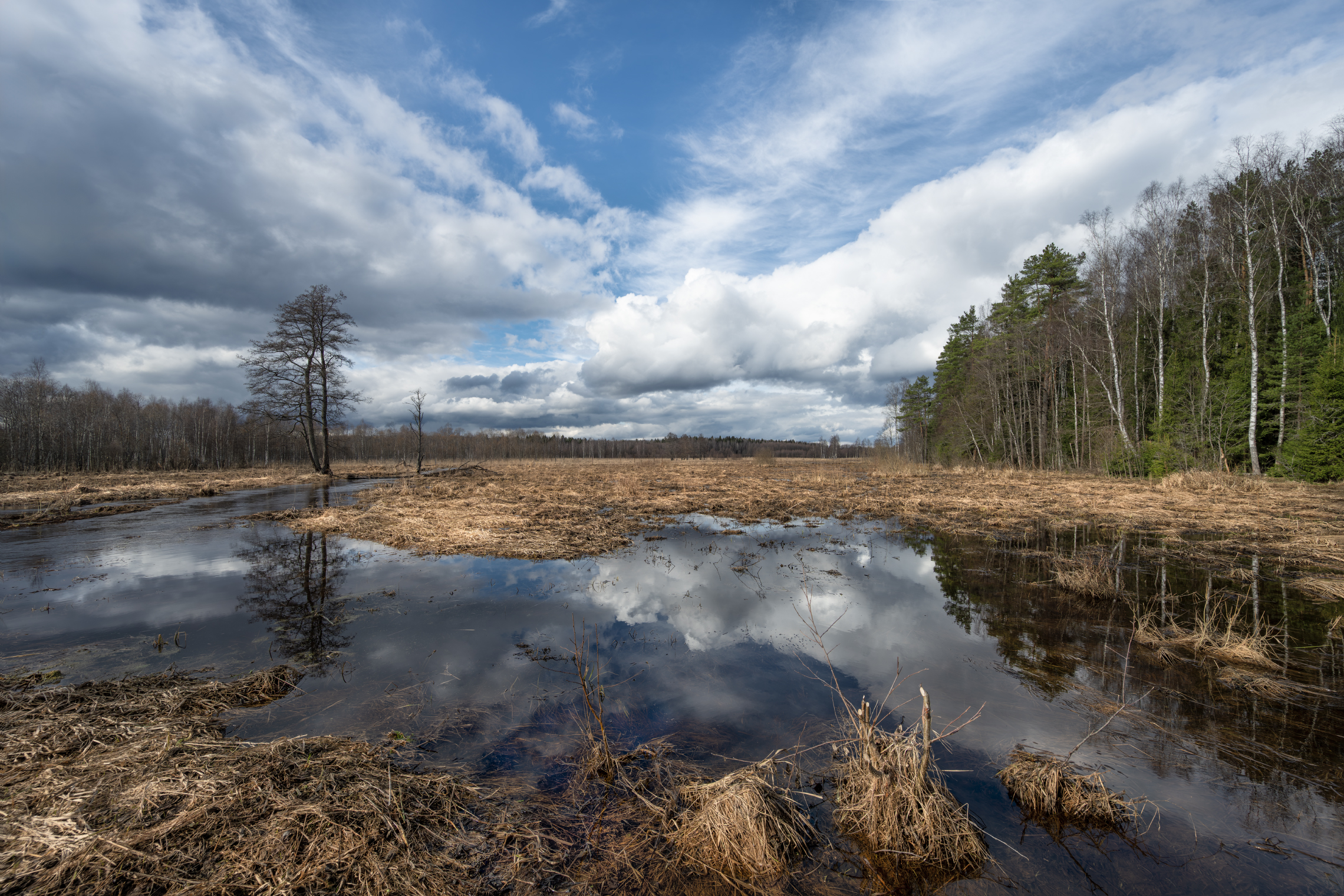 весенний паводок
