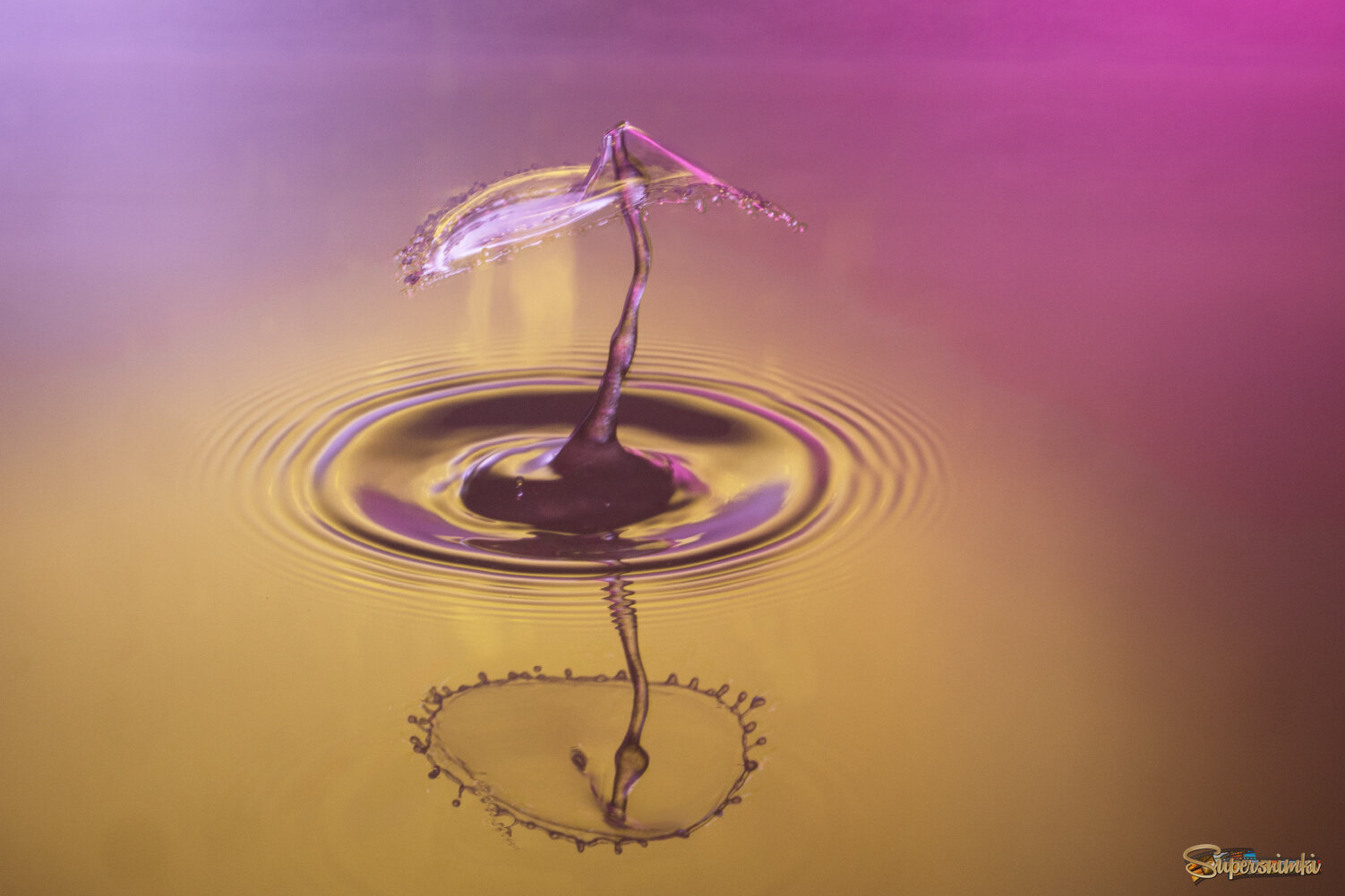 Мир жидкостных фигур.