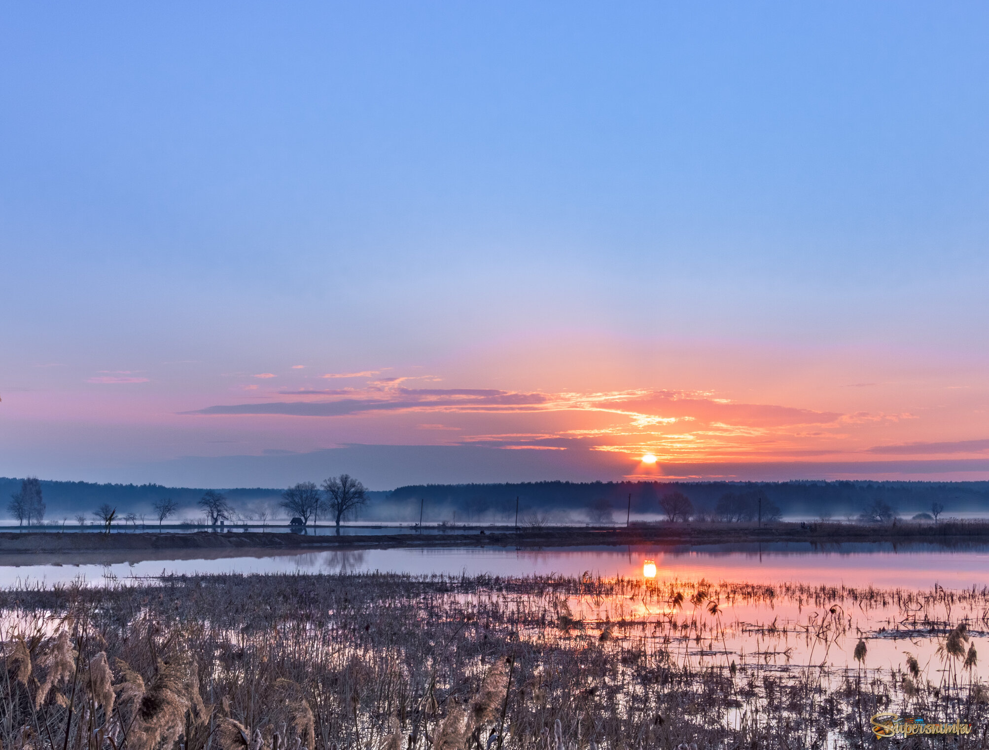 69d4ee2c2a2adf11709f5a04