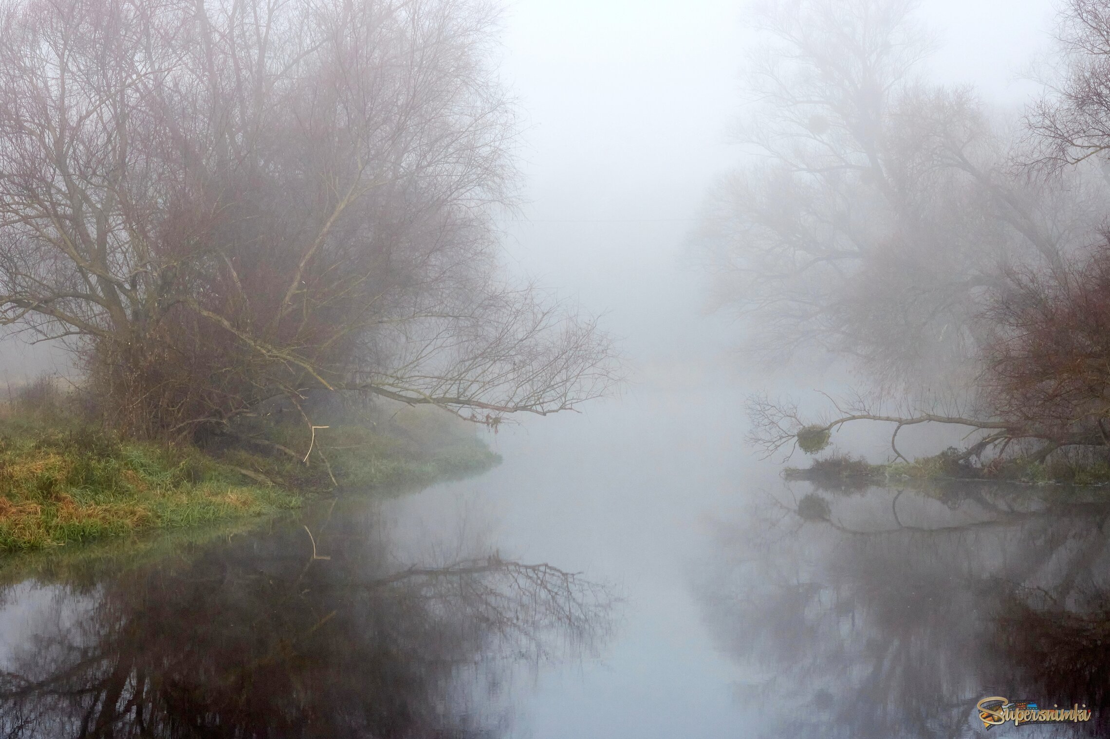 Осень в тумане
