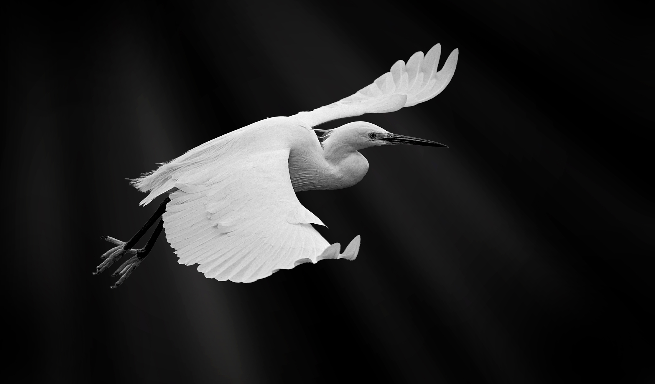 Намибийские истории...