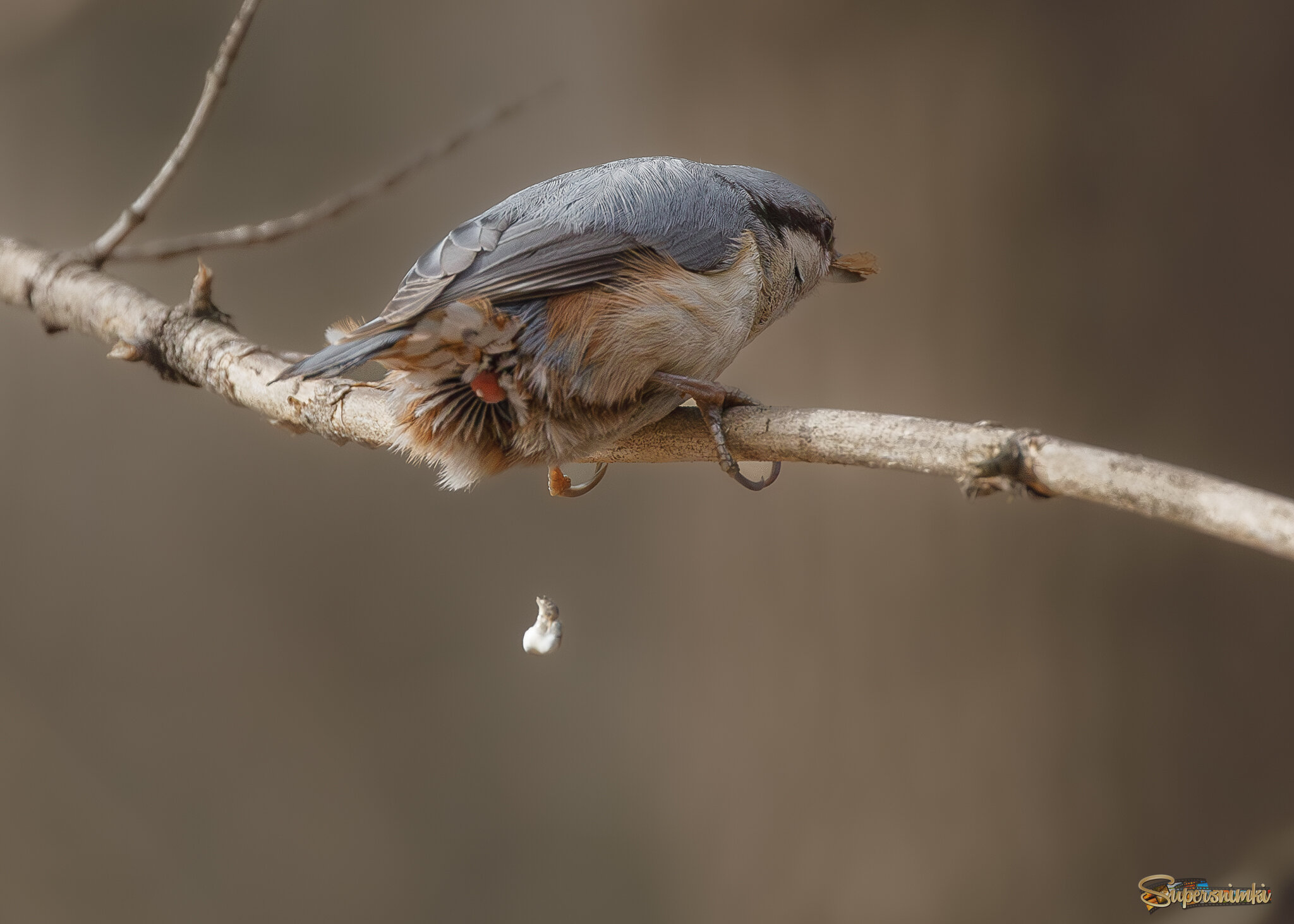 Он это сделал! (редкий кадр)