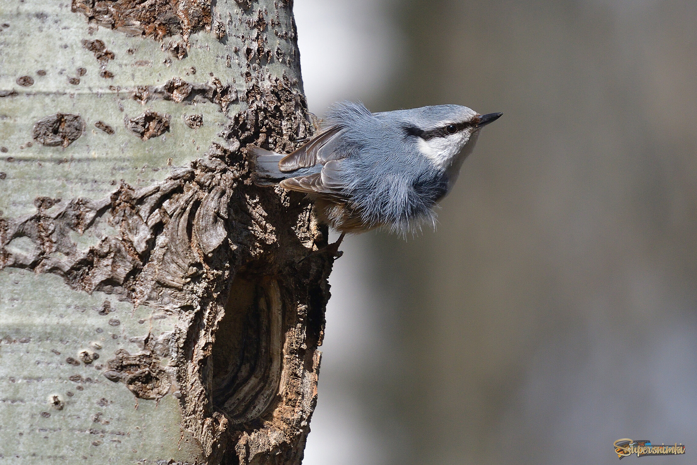 69d61aefc22229a8429f5a04