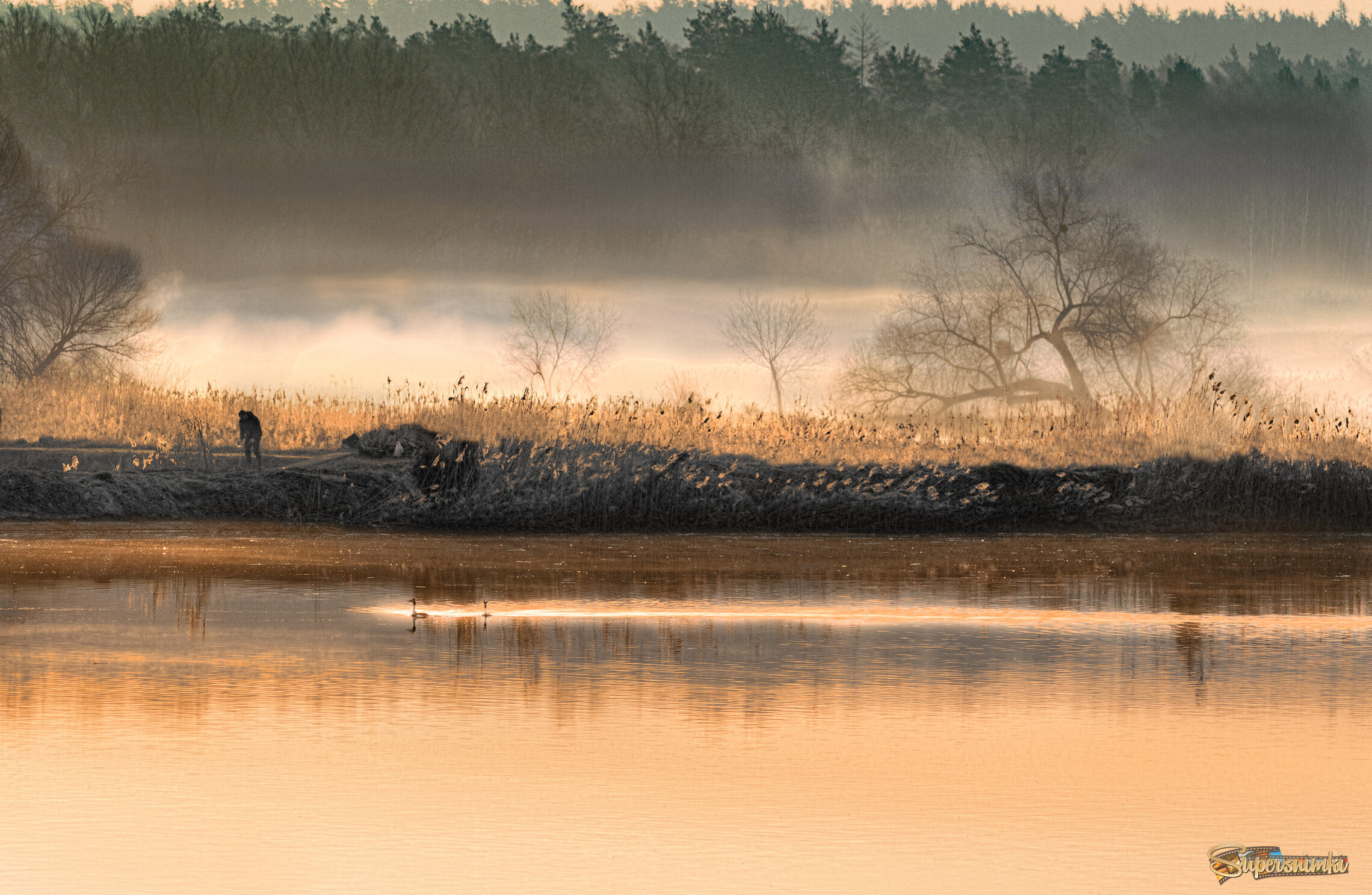 69d67e7148106854949f5a04