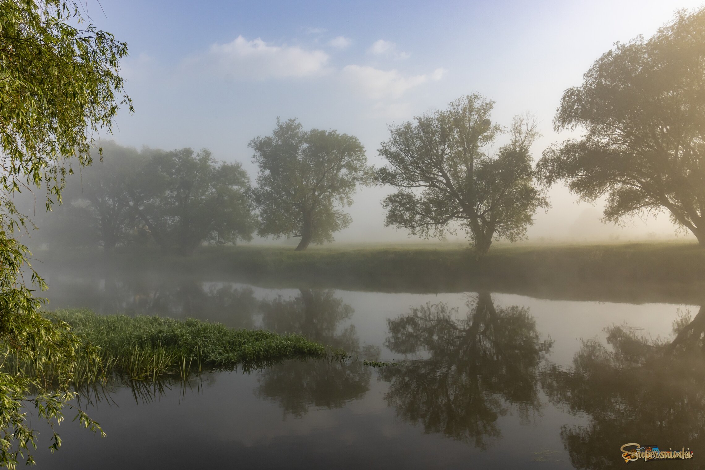 Летнее утро