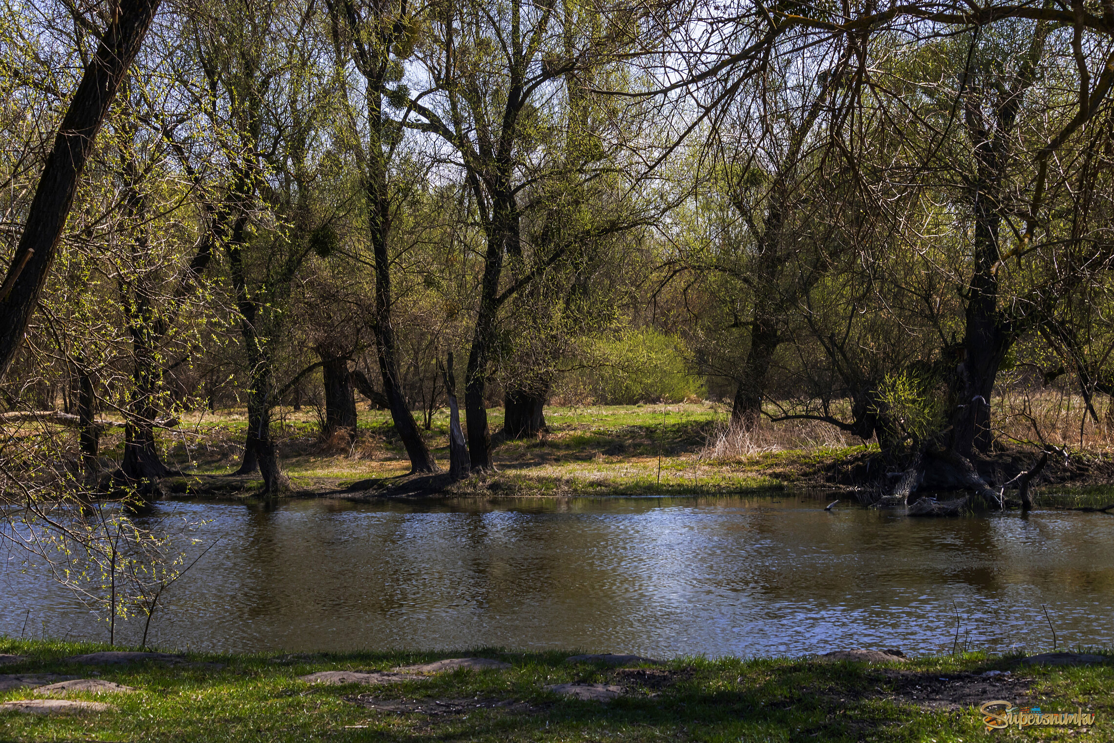 Весенее утро