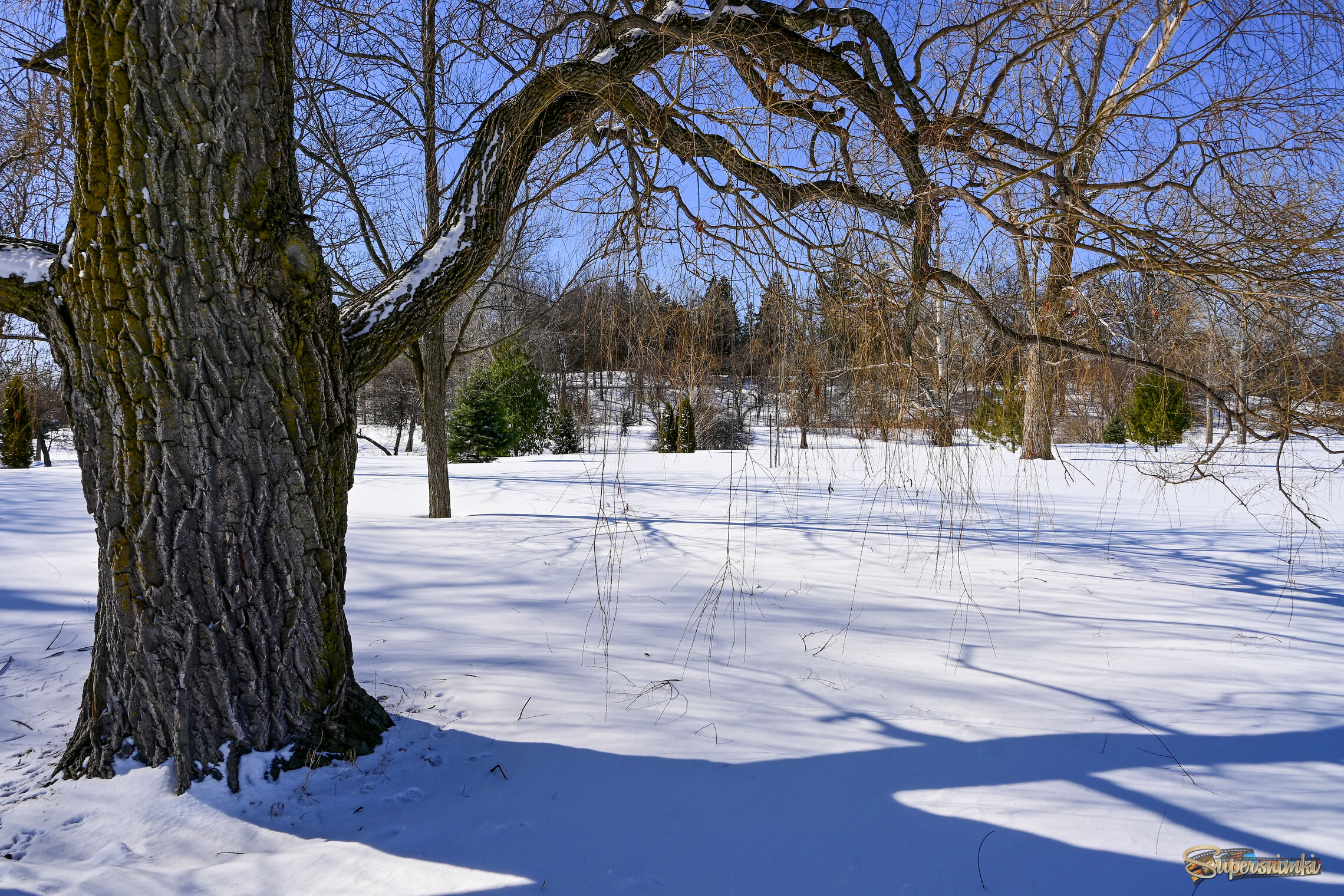 В прибрежном парке