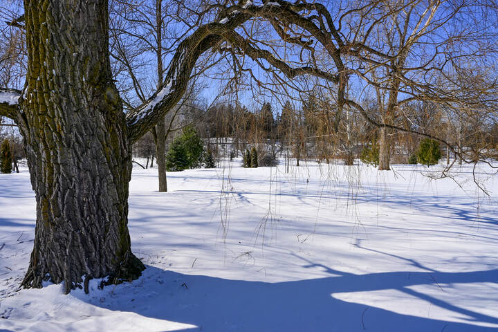 В прибрежном парке