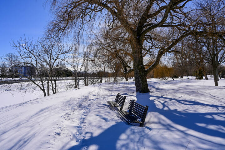 В прибрежном парке