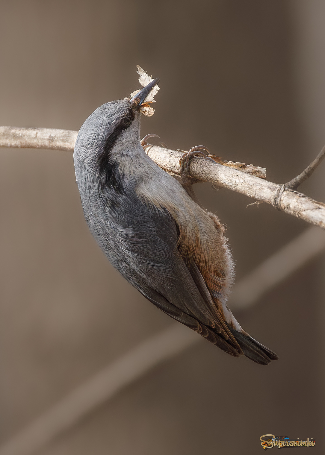 Материал для гнезда