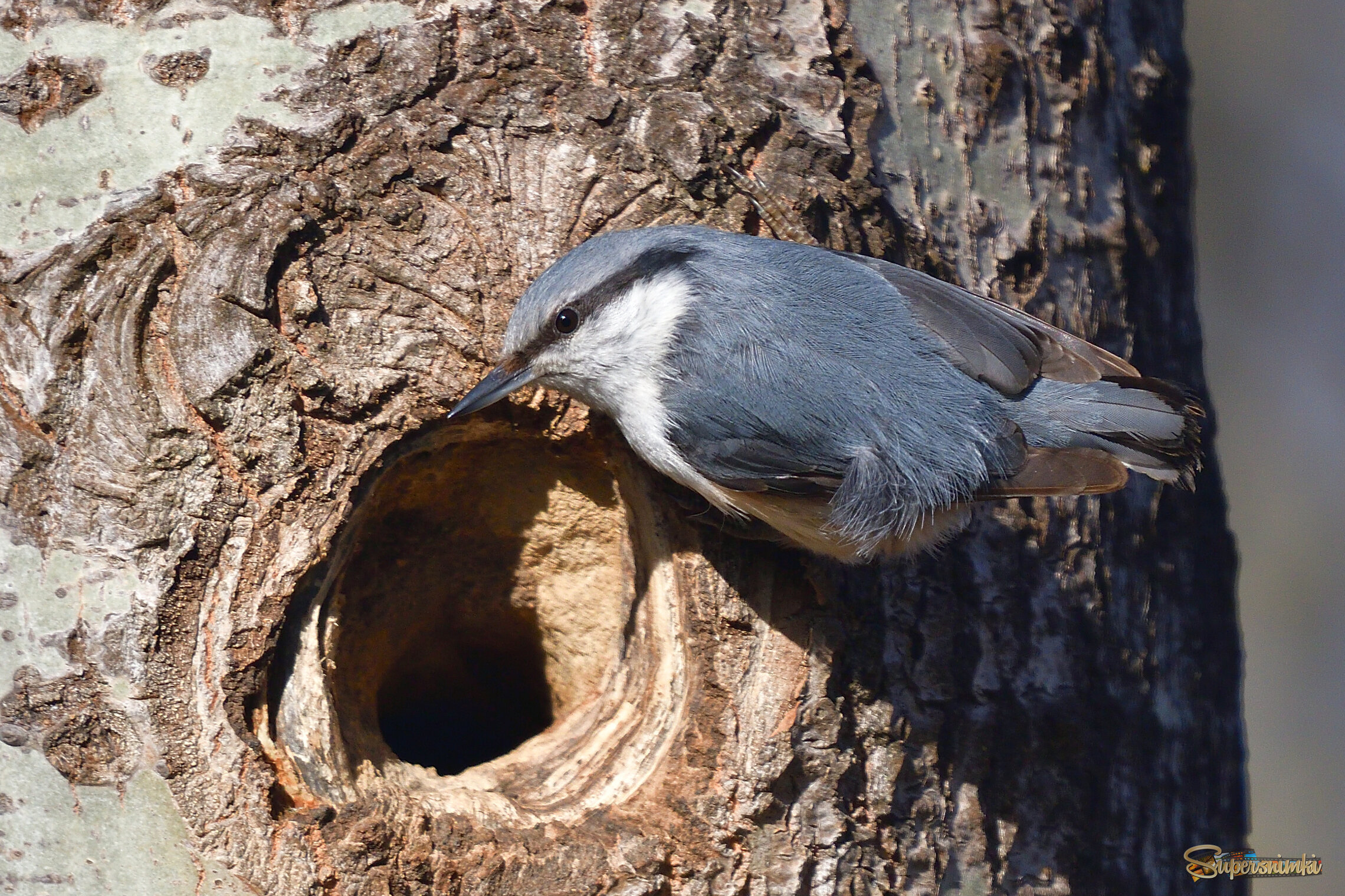 69d8b691932580ab749f5a06