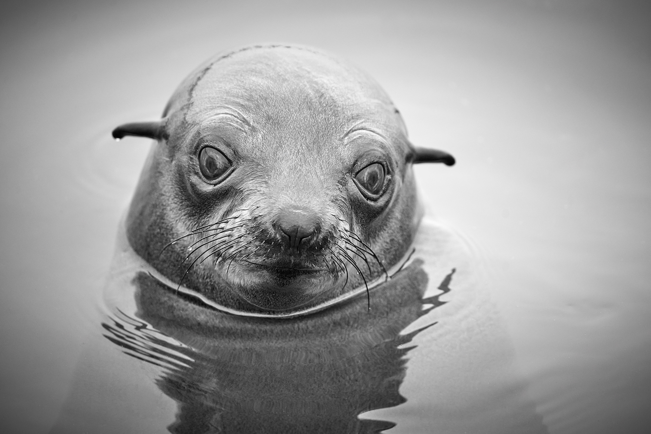 Намибийские истории...