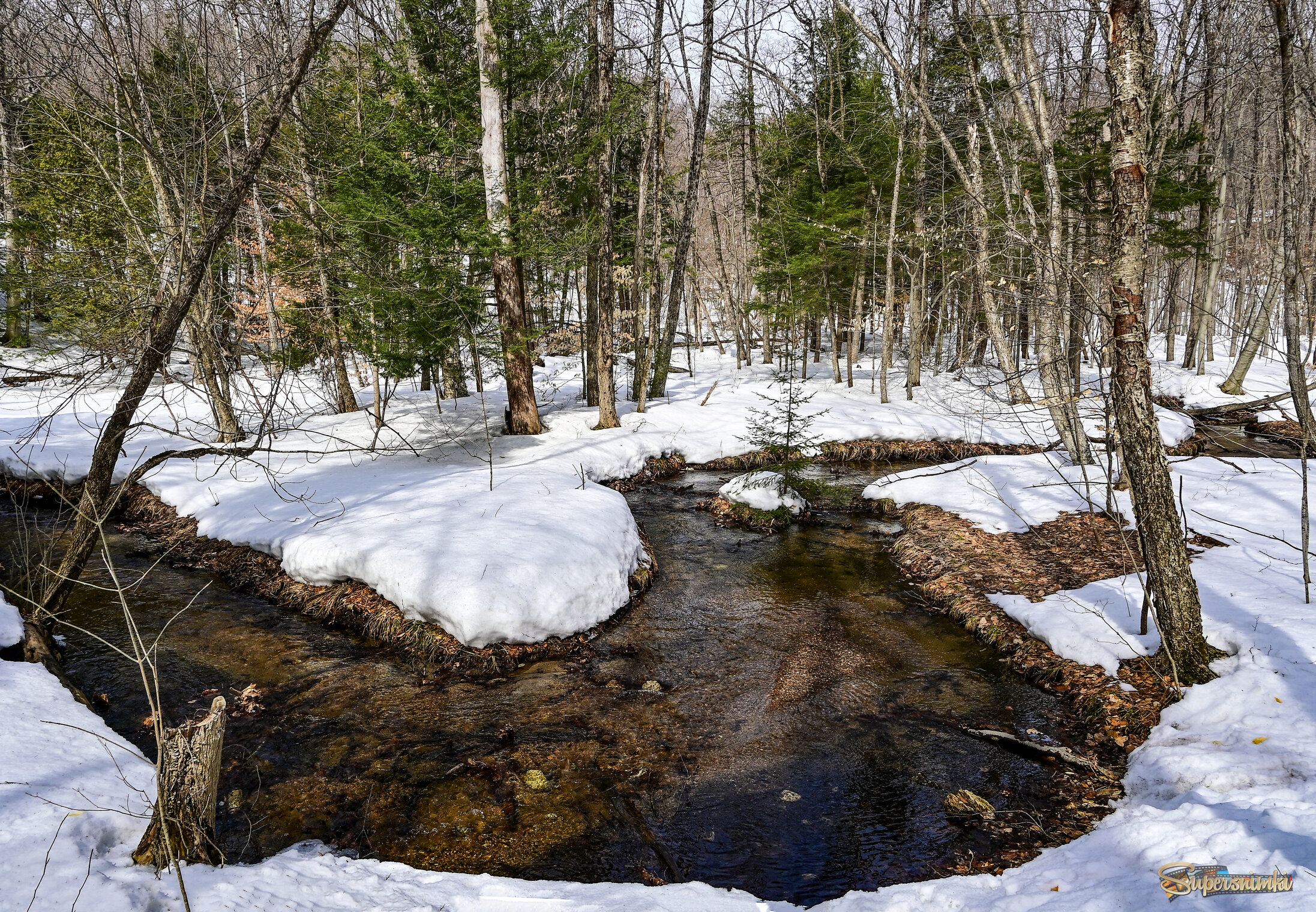 Витиеватость