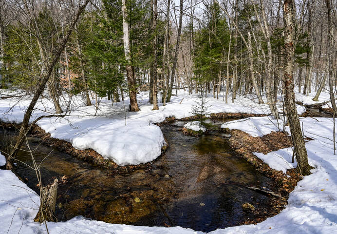 Витиеватость