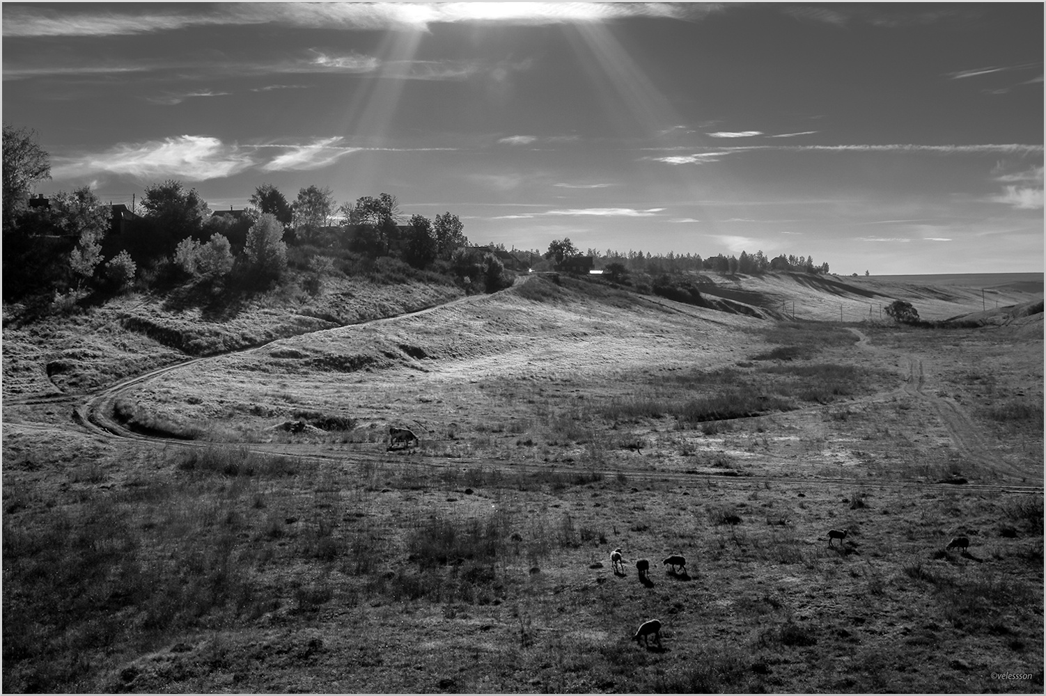 Немного утренне...