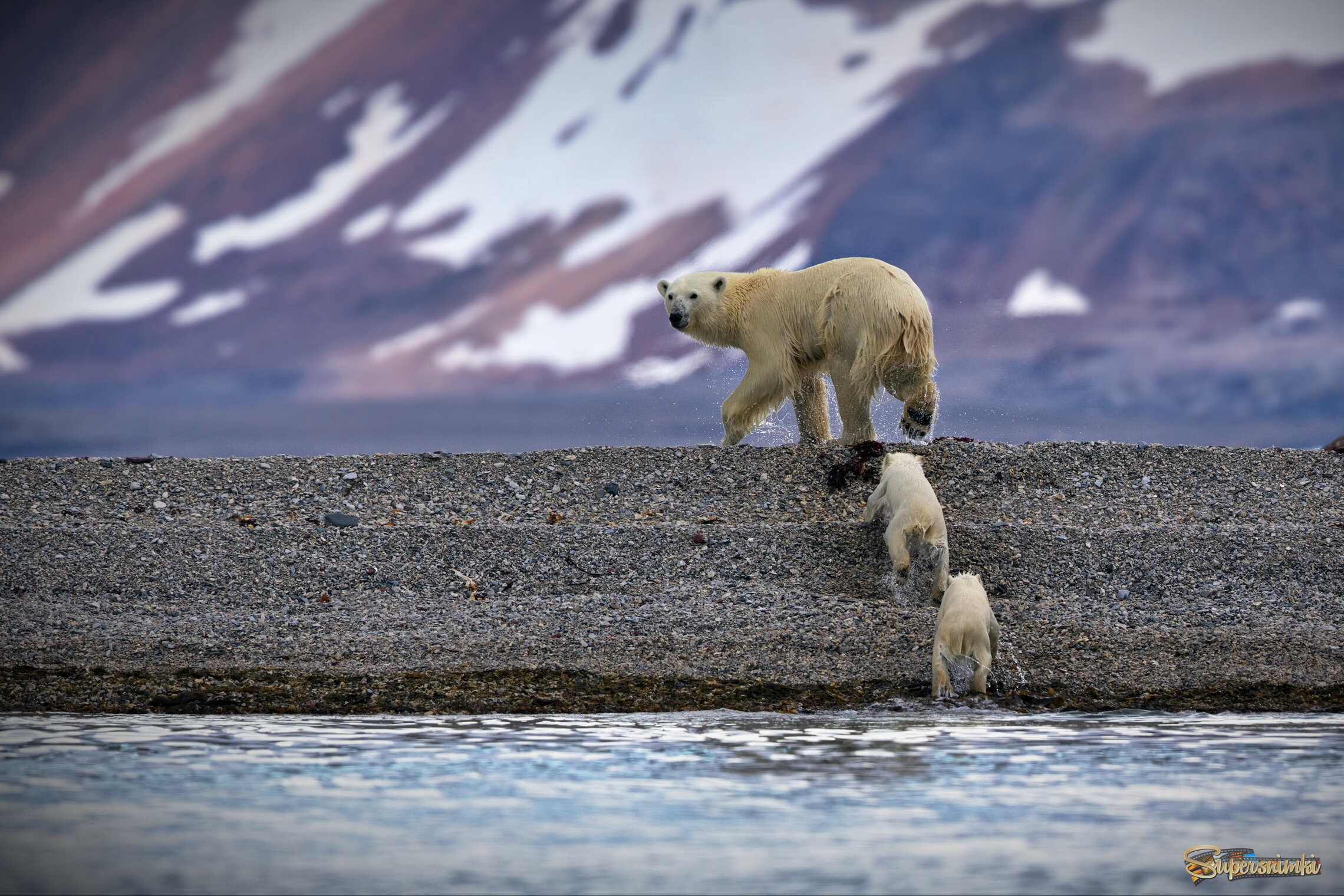 Под приглядом