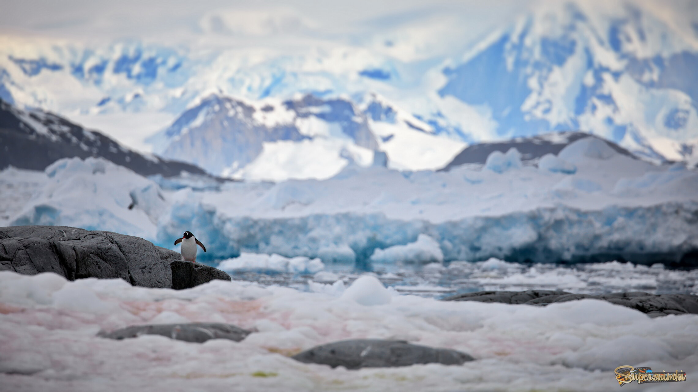 Один в большом мире