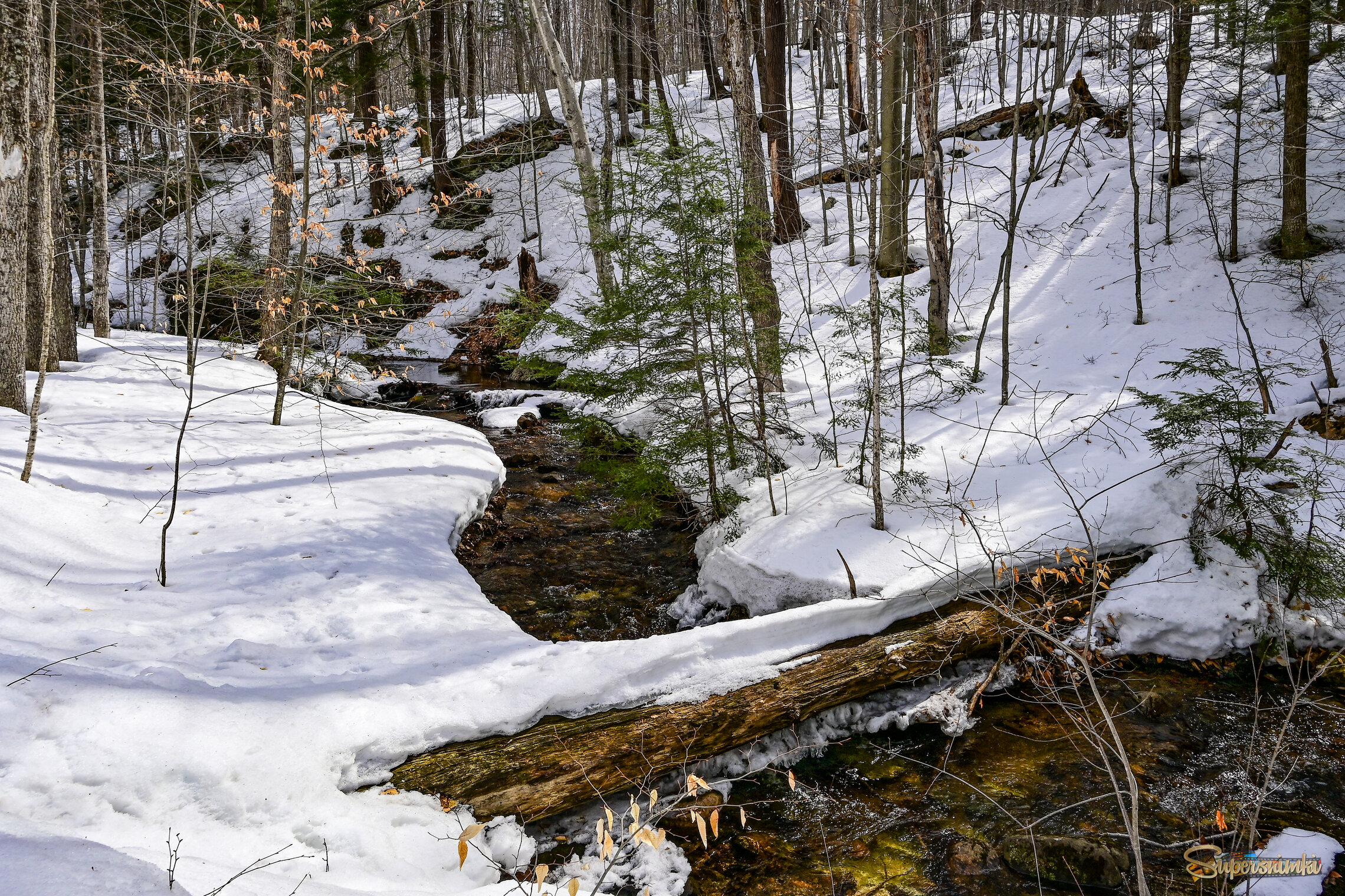 Прощание с зимой