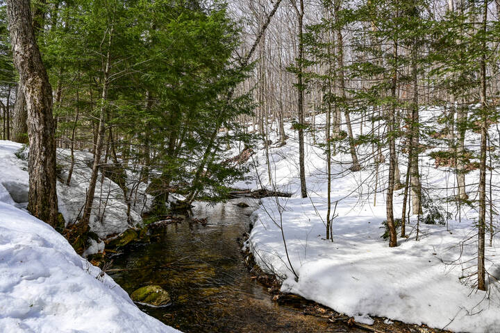 Прощание с зимой