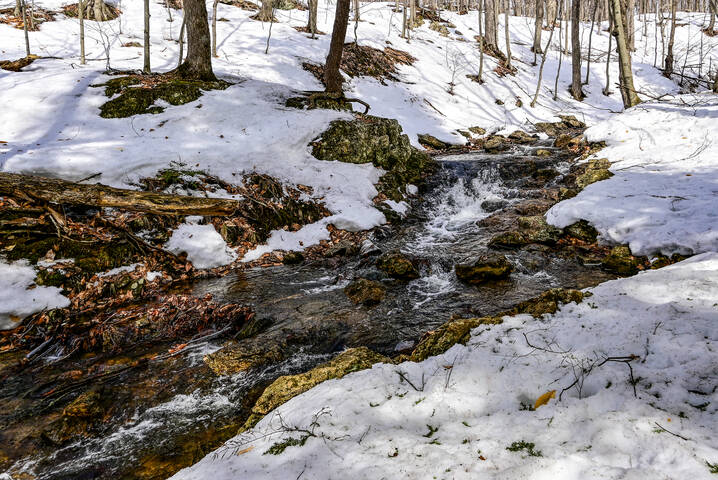 Прощание с зимой